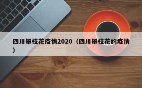 四川攀枝花疫情2020（四川攀枝花的疫情）